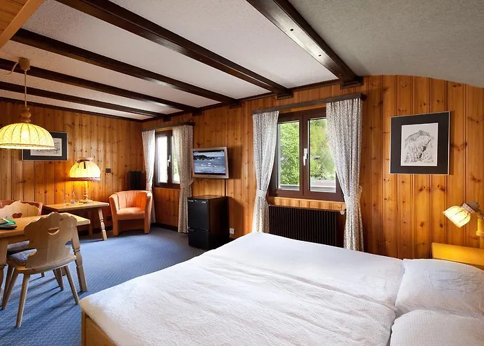 Hotel Aux Mille Etoiles 3*