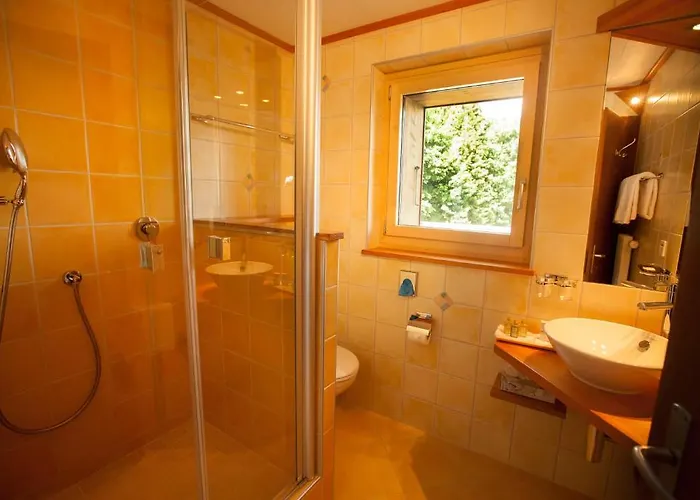 Hotel Aux Mille Etoiles Salvan