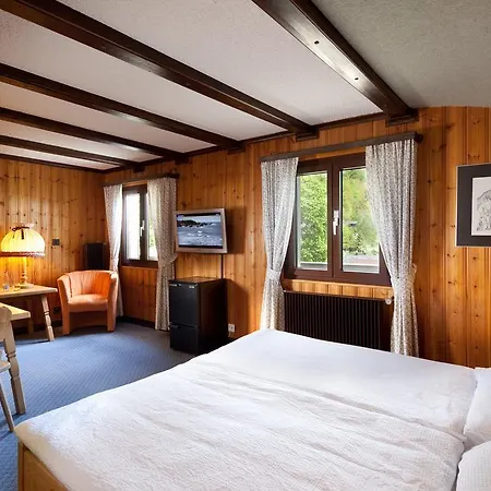 Hotel Aux Mille Etoiles 3*