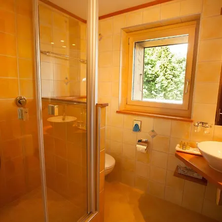 Hotel Aux Mille Etoiles Salvan